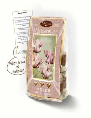 Quiz-påsen-Vårkänlsor